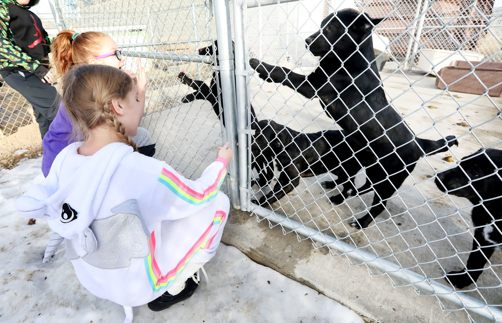 Butte students bring gifts to rescue animals
